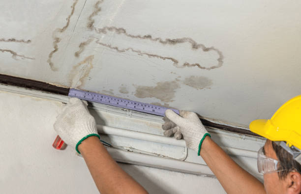 Reliable Burst Pipe Cleanup contractor in Prague, NE by Water Damage Irwin